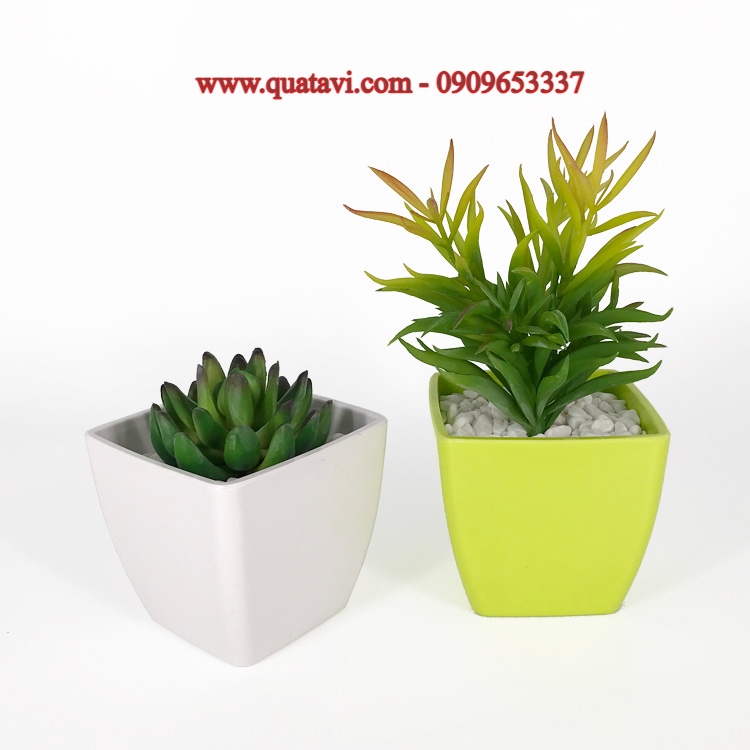 ceramic pot planter